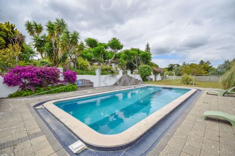Farm i Setubal, Setubal, Setubal - € 1.390.000 | Ref: KWPT-002637 - foto 47