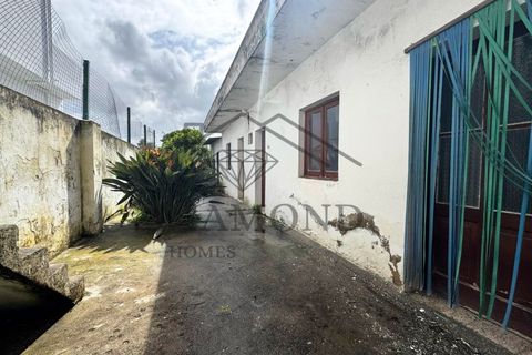 Villa i Alpiarca, Santarem, Alpiarca - € 99.000 | Ref: DHM-0038/25 - foto 3