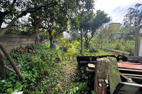 Villa i Alpiarca, Santarem, Alpiarca - € 99.000 | Ref: DHM-0038/25 - foto 16