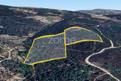 Farm i Cortico e Vila Cha, Guarda, Cortico e Vila Cha - € 43.000 | Ref: ZMPT576714 - foto 3
