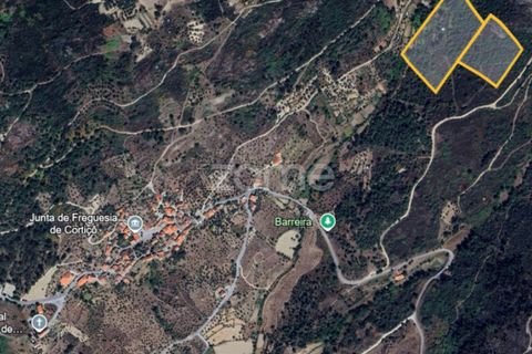 Farm i Cortico e Vila Cha, Guarda, Cortico e Vila Cha - € 43.000 | Ref: ZMPT576714 - foto 4