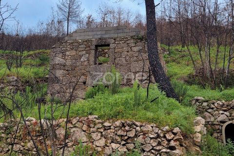 Farm i Cortico e Vila Cha, Guarda, Cortico e Vila Cha - € 43.000 | Ref: ZMPT576714 - foto 1
