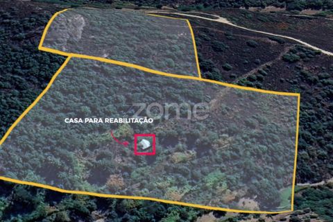 Farm i Cortico e Vila Cha, Guarda, Cortico e Vila Cha - € 43.000 | Ref: ZMPT576714 - foto 2