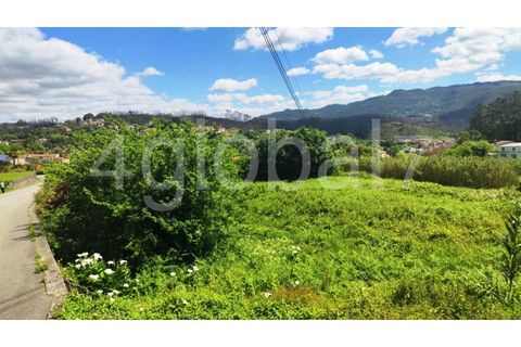 Helårsgrund i Sever do Vouga, Aveiro, Sever do Vouga - € 50.000 | Ref: TER_01255081 - foto 4