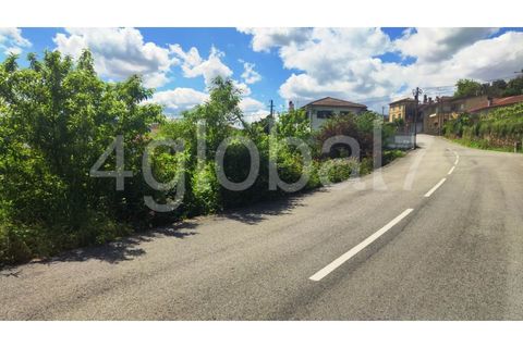 Helårsgrund i Sever do Vouga, Aveiro, Sever do Vouga - € 50.000 | Ref: TER_01255081 - foto 5