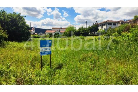 Helårsgrund i Sever do Vouga, Aveiro, Sever do Vouga - € 50.000 | Ref: TER_01255081 - foto 6