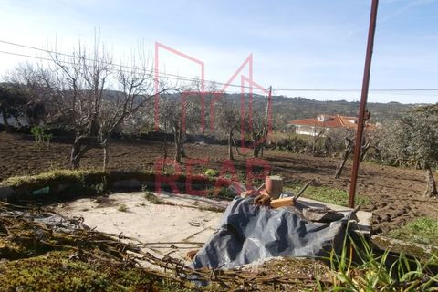 Herregård i Boticas, Vila Real, Boticas - € 105 000 | Ref: 74/ 2022 - foto 9