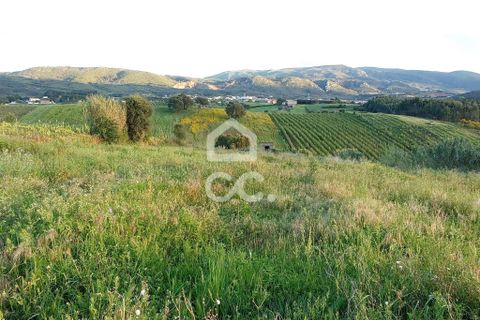 Helårsgrund i Cadaval, Lisbon, Cadaval - € 34.000 | Ref: 321/T/01228 - foto 1