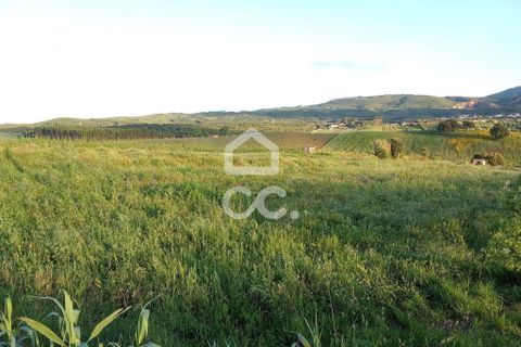 Helårsgrund i Cadaval, Lisbon, Cadaval - € 34.000 | Ref: 321/T/01228 - foto 2