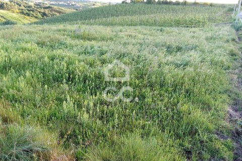 Helårsgrund i Cadaval, Lisbon, Cadaval - € 34.000 | Ref: 321/T/01228 - foto 4