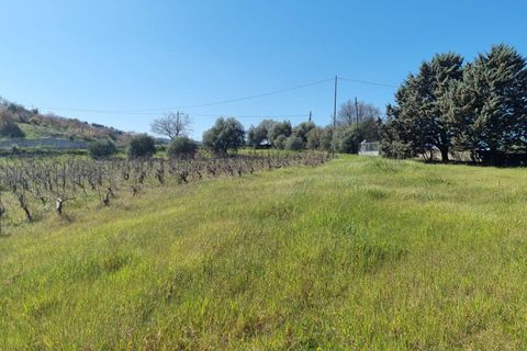 Herregård i Ozieri, Sassari, Ozieri - € 120 000 | Ref: 201-45 - foto 2