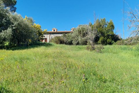 Herregård i Ozieri, Sassari, Ozieri - € 120 000 | Ref: 201-45 - foto 5