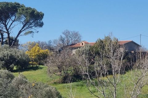 Herregård i Ozieri, Sassari, Ozieri - € 120 000 | Ref: 201-45 - foto 7