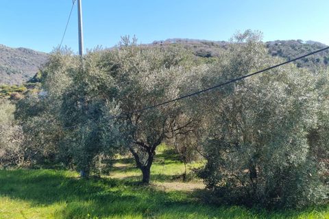 Herregård i Ozieri, Sassari, Ozieri - € 120 000 | Ref: 201-45 - foto 9
