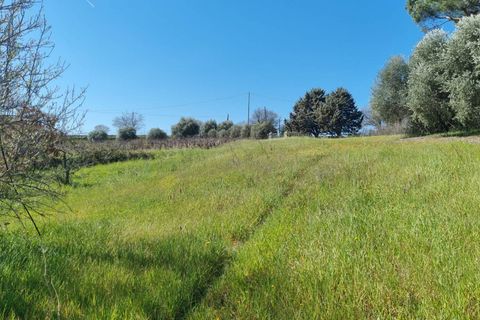 Herregård i Ozieri, Sassari, Ozieri - € 120 000 | Ref: 201-45 - foto 10