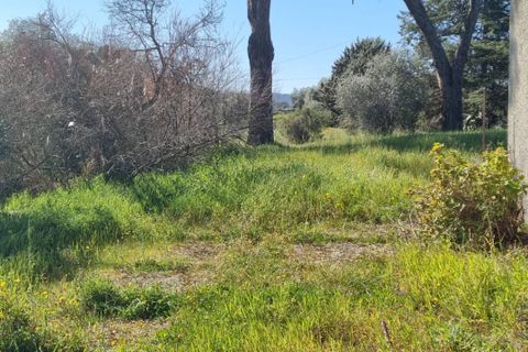 Herregård i Ozieri, Sassari, Ozieri - € 120 000 | Ref: 201-45 - foto 11