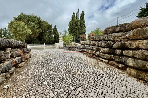 Villa a Belas, Lisbon, Belas - € 1.450.000 | Ref: CAS_867 - foto 3