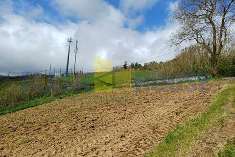 Helårsgrund i Ponta Delgada, Sao Miguel, Ponta Delgada - € 790.000 | Ref: FHPL5060 - foto 8