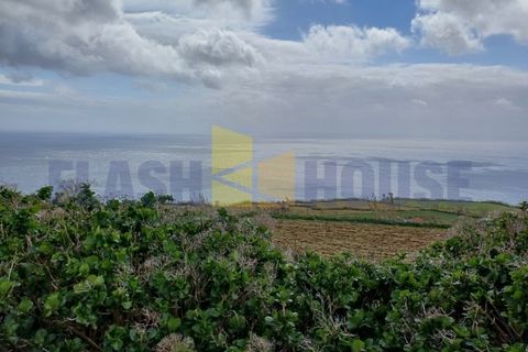 Helårsgrund i Ponta Delgada, Sao Miguel, Ponta Delgada - € 790.000 | Ref: FHPL5060 - foto 12