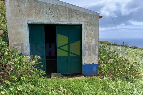 Helårsgrund i Ponta Delgada, Sao Miguel, Ponta Delgada - € 790.000 | Ref: FHPL5060 - foto 14