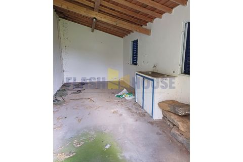 Helårsgrund i Ponta Delgada, Sao Miguel, Ponta Delgada - € 790.000 | Ref: FHPL5060 - foto 15