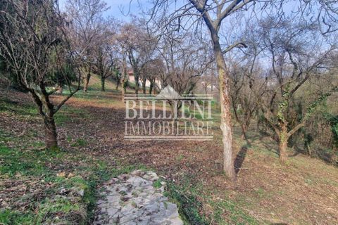 Villa i Longare, Vicenza, Longare - € 335.000 | Ref: V06 - foto 11