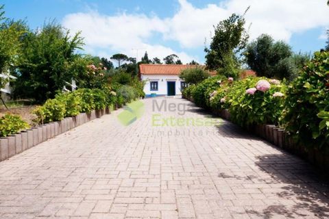 Farm i Gondemaria e Olival, Santarem, Gondemaria e Olival - € 795.000 | Ref: 1998 - foto 13