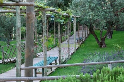 Farm i Gondemaria e Olival, Santarem, Gondemaria e Olival - € 795.000 | Ref: 1998 - foto 20