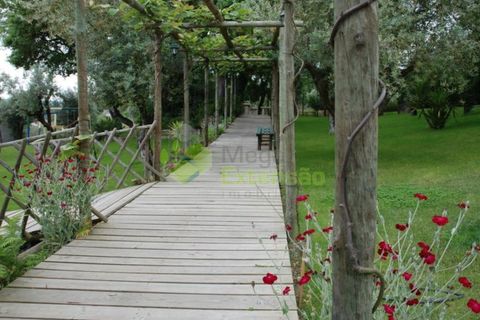 Farm i Gondemaria e Olival, Santarem, Gondemaria e Olival - € 795.000 | Ref: 1998 - foto 26