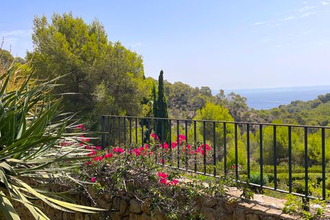 Villa i Bendinat, Mallorca, Bendinat - € 4 400 000 | Ref: 32 Bendinat 4400 - foto 11