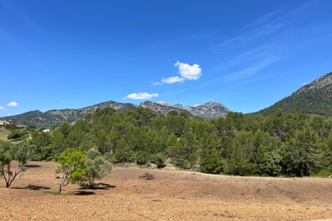 Tomt i Selva, Mallorca, Selva - € 1 100 000 | Ref: 2230 - foto 2