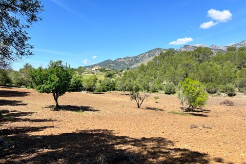 Tomt i Selva, Mallorca, Selva - € 1 100 000 | Ref: 2230 - foto 3