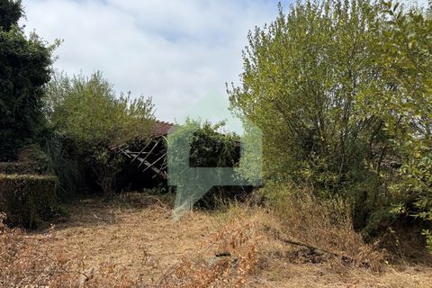 Villa i Freitas e Vila Cova, Braga, Freitas e Vila Cova - € 200.000 | Ref: CAS_3442 - foto 29