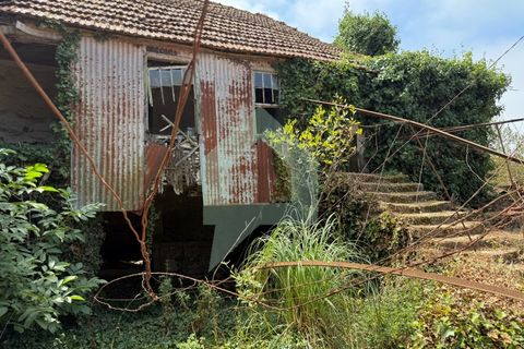 Villa i Freitas e Vila Cova, Braga, Freitas e Vila Cova - € 200.000 | Ref: CAS_3442 - foto 36