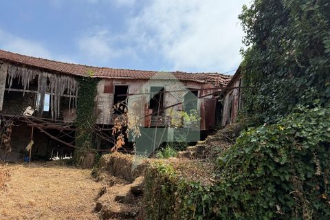 Villa i Freitas e Vila Cova, Braga, Freitas e Vila Cova - € 200.000 | Ref: CAS_3442 - foto 37