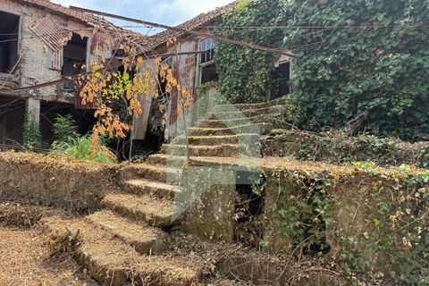 Villa i Freitas e Vila Cova, Braga, Freitas e Vila Cova - € 200.000 | Ref: CAS_3442 - foto 40
