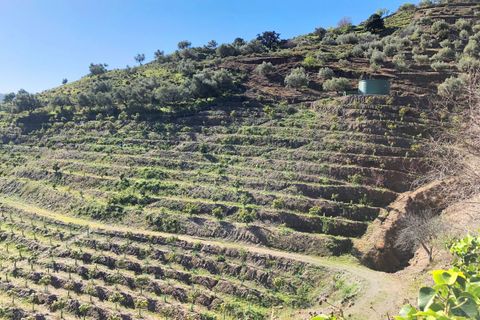 Villa i Competa, Malaga, Competa - € 450.000 | Ref: CV452 - foto 11