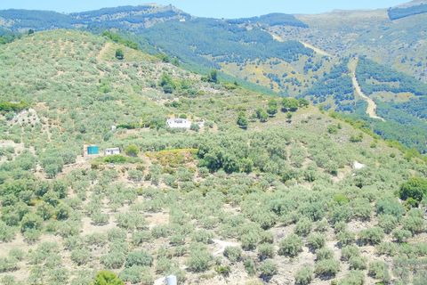 Country house in Canillas De Albaida, Malaga - photo 1