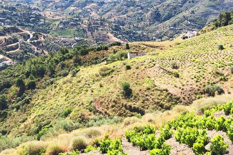 Helårsgrund i Competa, Malaga, Competa - € 229.000 | Ref: PL018 - foto 7