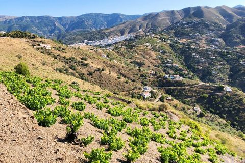 Helårsgrund i Competa, Malaga, Competa - € 229.000 | Ref: PL018 - foto 9