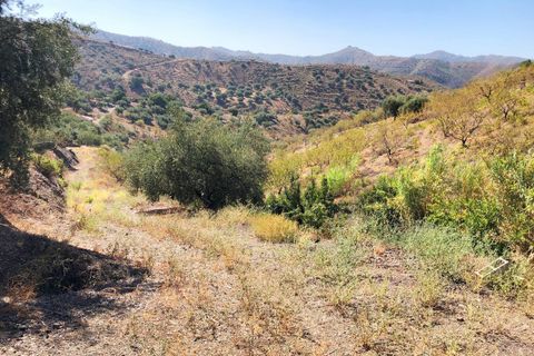 Tomt i Sedella, Malaga, Sedella - € 95 000 | Ref: PL020 - foto 16