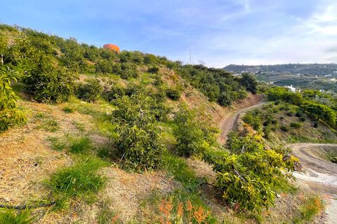 Masia a Sayalonga, Malaga - foto 1