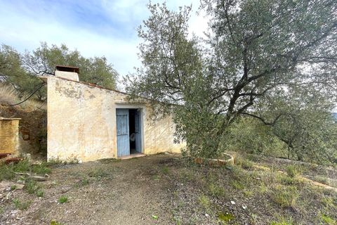 Country house in Canillas De Aceituno, Malaga - photo 2