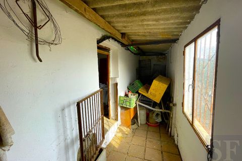 Country house in Canillas De Aceituno, Malaga - photo 5