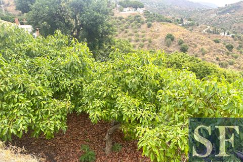 Villa i Competa, Malaga, Competa - € 495.000 | Ref: CV900 - foto 17