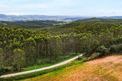 Villa a Cadaval, Lisbon, Cadaval - € 2.500.000 | Ref: SAVLBN15673 - foto 35