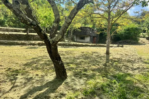 Villa i Sospel, Alpes-Maritimes, Sospel - € 575.000 | Ref: 85935731 - foto 8