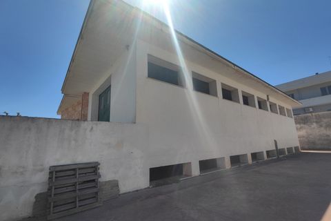 Erhvervsejendom i Supersano, Lecce, Supersano - € 299.000 | Ref: SUPERSEA-299 COM - foto 15