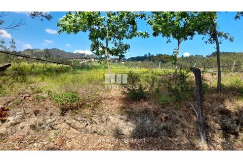 Helårsgrund i Amarante, Porto, Amarante - € 83.000 | Ref: MC09795 - foto 5