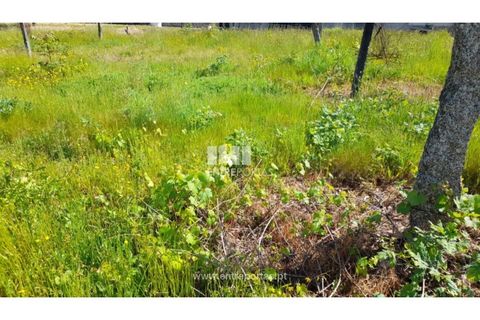 Helårsgrund i Amarante, Porto, Amarante - € 83.000 | Ref: MC09795 - foto 15